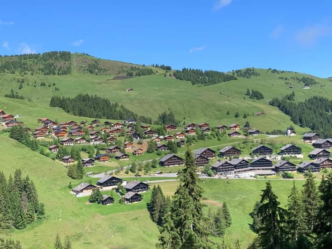 Alpage Immo Location Service Champoussin Exteriör bild